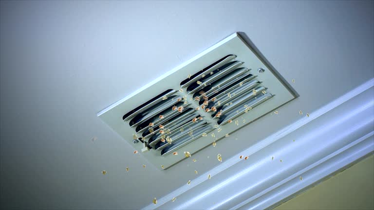 Best HVAC Maintenance and Cleaning  in Elmwood, LA