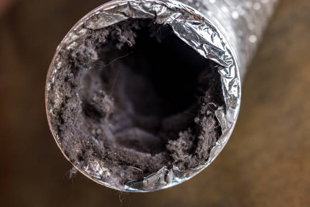Best Air Duct Cleaning Near Me  in Elmwood, LA