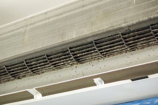 Best HVAC Air Duct Cleaning  in Elmwood, LA